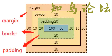 HTML基础知识总结4731 作者:Editor 帖子ID:2798 论坛知鸟论坛_zn60.com