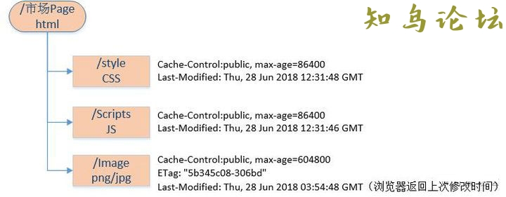 详解浏览器的缓存机制2182 作者:Editor 帖子ID:2847 论坛知鸟论坛_zn60.com
