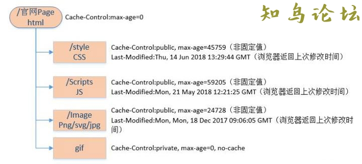 详解浏览器的缓存机制3599 作者:Editor 帖子ID:2847 论坛知鸟论坛_zn60.com