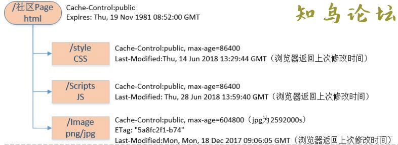 详解浏览器的缓存机制291 作者:Editor 帖子ID:2847 论坛知鸟论坛_zn60.com