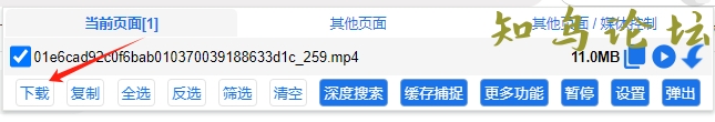 浏览器插件：分享一个好用的可以下载网站视频浏览器插件6174 作者:斐梵视觉 帖子ID:4161 知鸟论坛_zn60.com