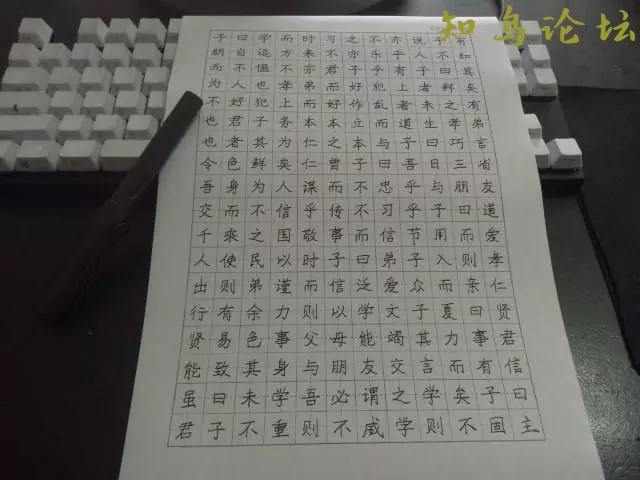 字帖神器：从此不必再买钢笔字帖891 作者:雁过飞 帖子ID:4181 软件知鸟论坛_zn60.com